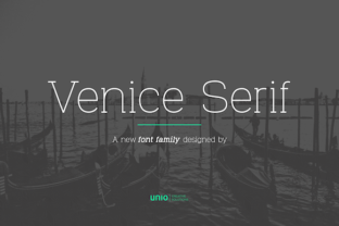 Venice Family: A Modern Serif Font Built for Clarity and Character